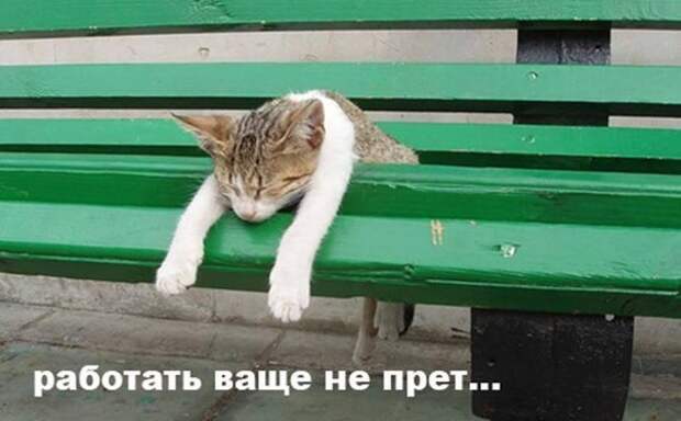 Похожее изображение