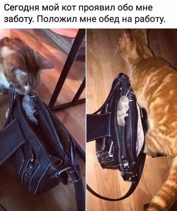 Забота ) Забота )