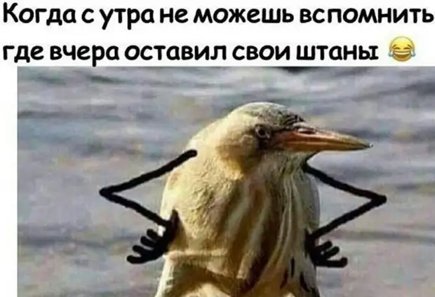 Нотка юмора для прекрасного вечер