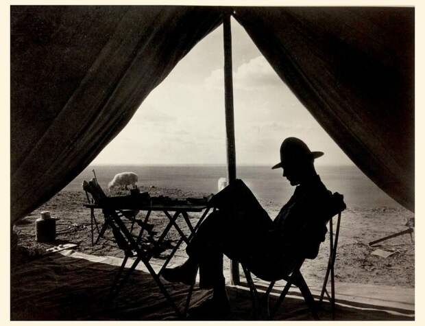 Фото: Jim Griffin/flickr.com