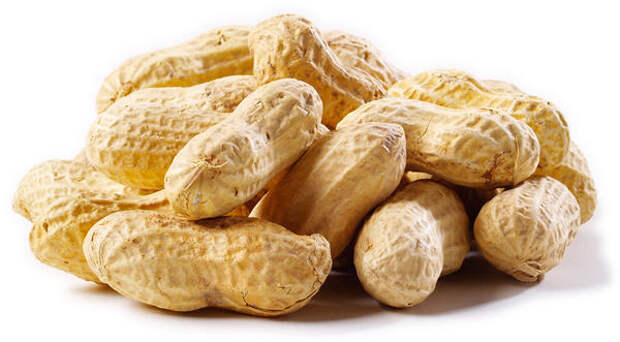 nuts09 Полезные орехи и их свойства