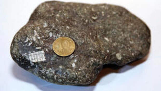 Найден камень с микрочипом возрастом 250 миллионов лет