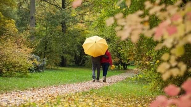 24 октября в Москве ожидается облачная погода с прояснениями, временами небольшой дождь