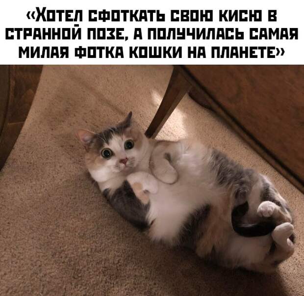 Подборка картинок (38 фото)