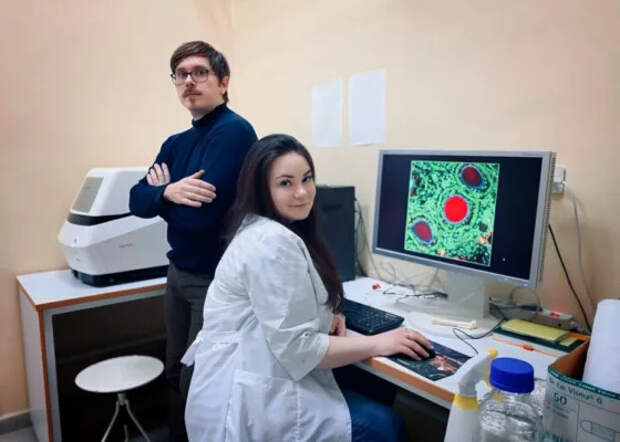 Серотонин участвует в межклеточной коммуникации на ранних этапах развития