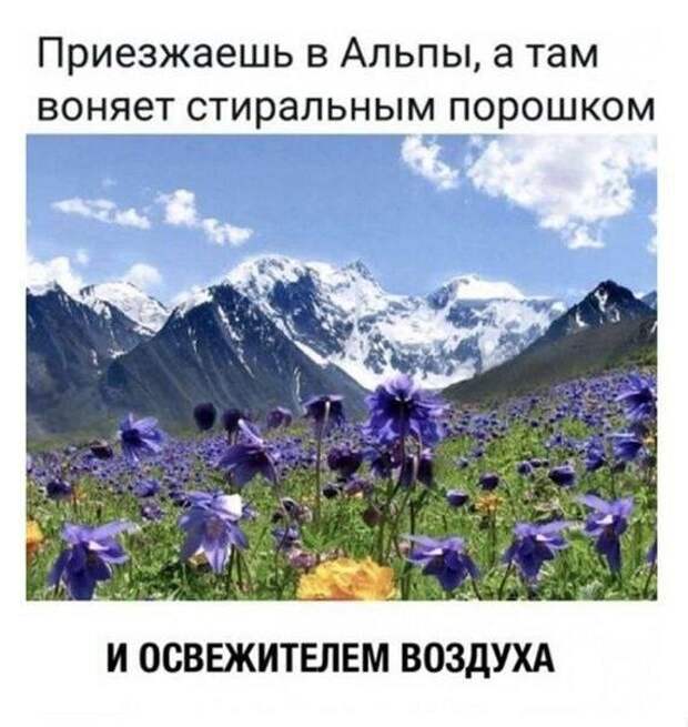 Коллекция прикольных мемов: "Когда пришёл в бухгалтерию…" (19 фото)