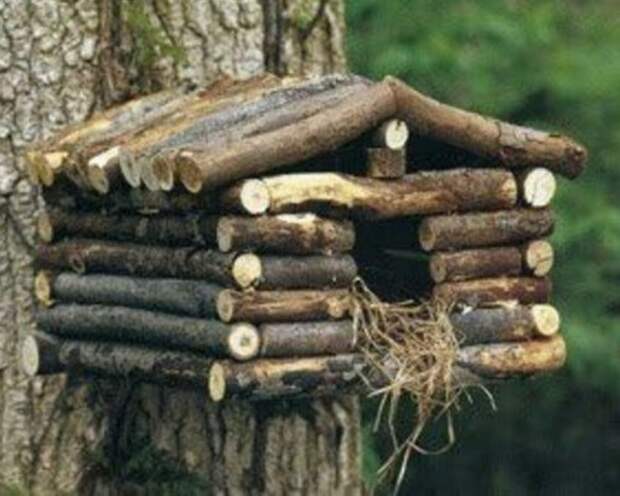 Скворечники из старых вещей (10 фото) Скворечники из старых вещей (10 фото)