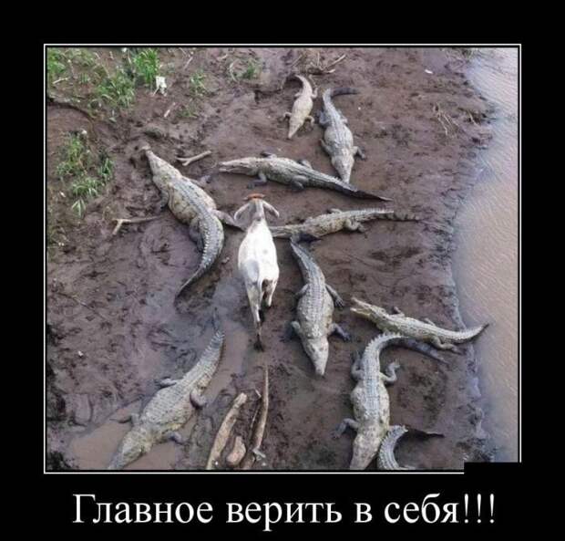 Демотиваторы и позитив