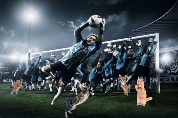 Что будет, если добавить в футбол немного котов? забавно, коты, творчество, фото, фотожабы, фотошоп, футбол, юмор