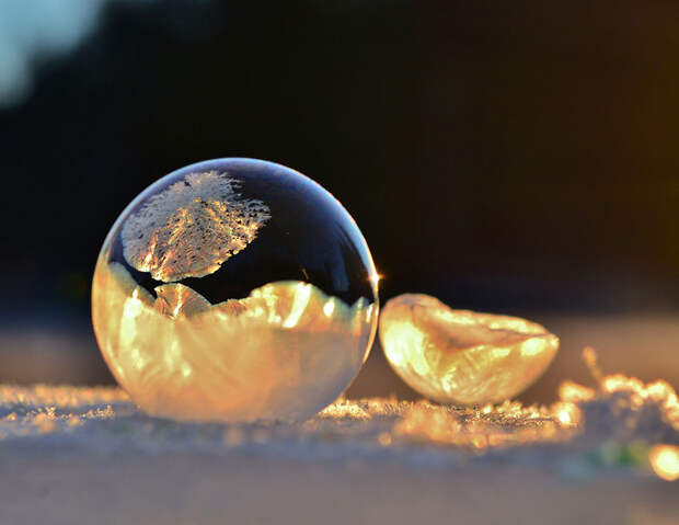 Замороженные пузыри