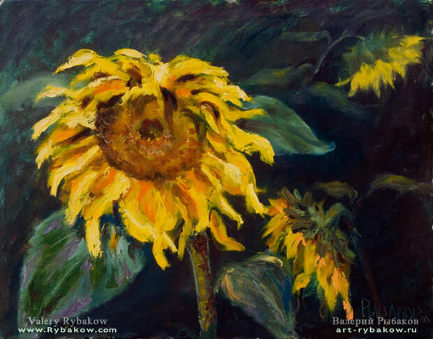 original oil painting Sunflowers at the end of the summer