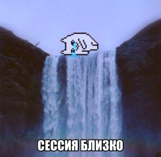 Приколы в картинках (39 шт)