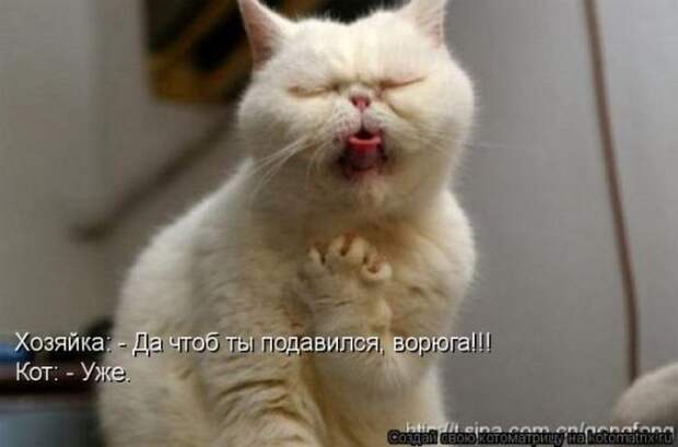 Мысли вслух :)