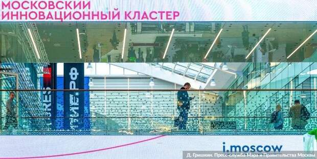 В Москве заработал новый онлайн-сервис для бизнеса — Сергунина. Фото Д. Гришкин. mos.ru