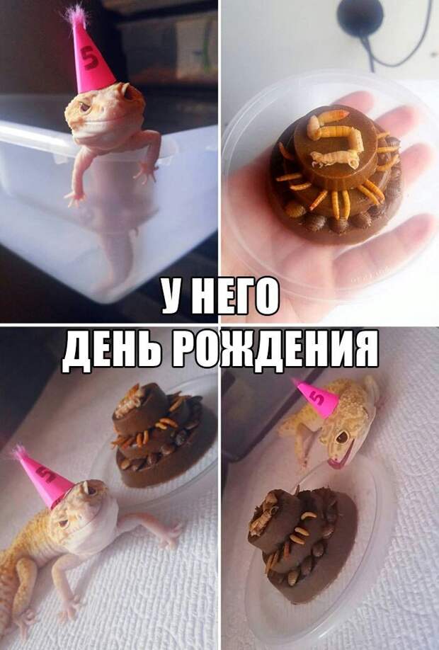 Смешные картинки с надписями прикол, юмор