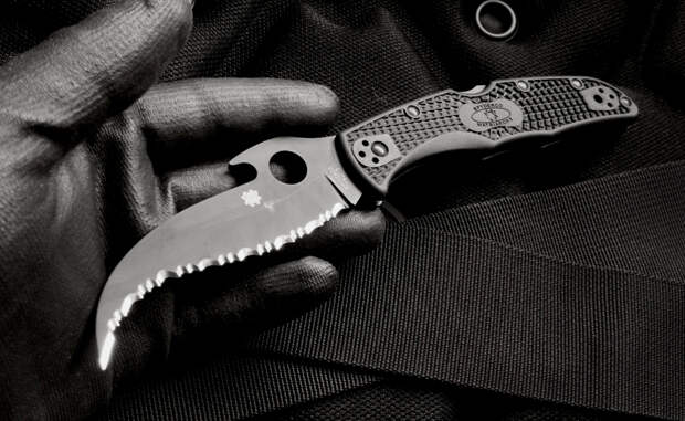 Spyderco Matriarch 2 Максимально злой кусач. Он легален в России — хотя одного взгляда на него хватит, чтобы заставить разбежаться целую команду оппонентов. Необычный дизайн лезвия разработан специально для работы в замкнутых пространствах. Нож Matriarch нанесет максимальный урон, даже если вы не будете стараться. Покрытое зубьями лезвие оставляет ужасные раны: преступник еще не скоро рискнет вновь напасть на кого-нибудь «беззащитного».