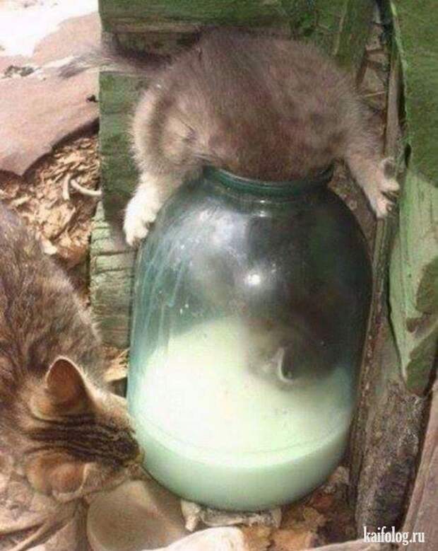 alt= alt=