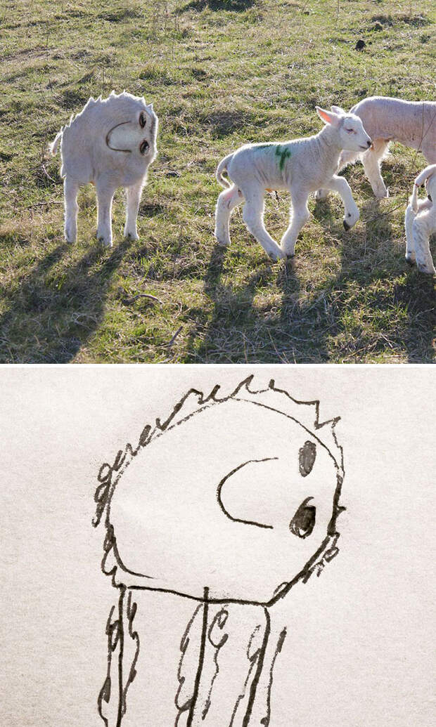 kid-drawings-things-i-have-drawn-dom-22-580dfb88b8255__700