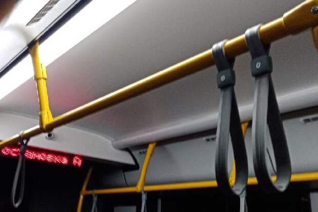 Расследование уголовного дела о закрытии троллейбусов в Тамбове затянулось