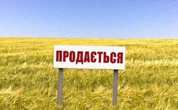 Правда о том, что теперь ожидает украинский агросектор