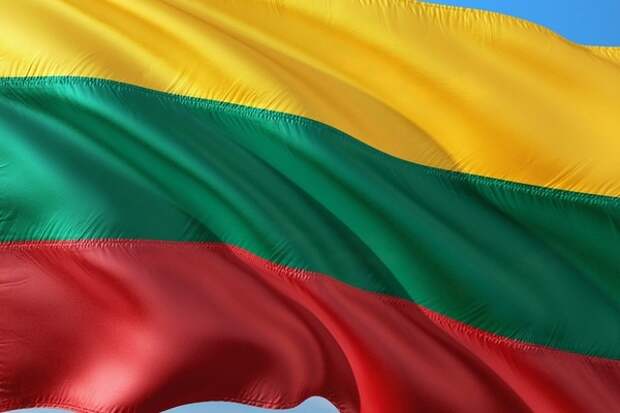 МИД Литвы выразил РФ протест из-за объявления в розыск литовских политиков