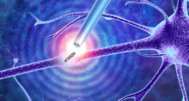cell-tweezers