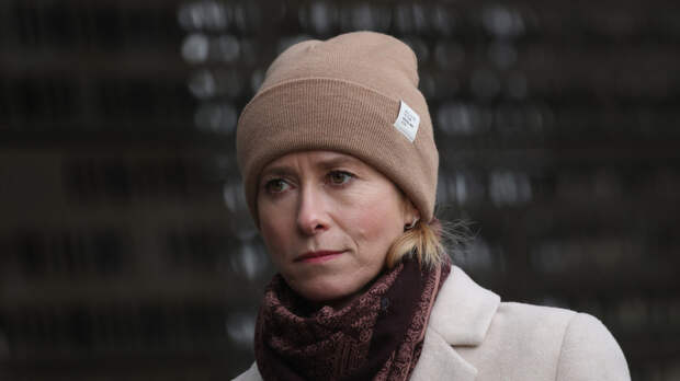 Мема раскритиковал слова Каллас об очередных санкциях против России