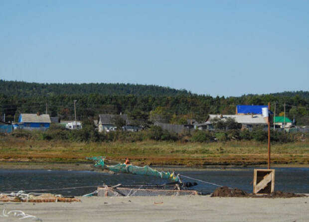 Семейство медведей вломилось к вахтовикам на Сахалине и съело запас консервов