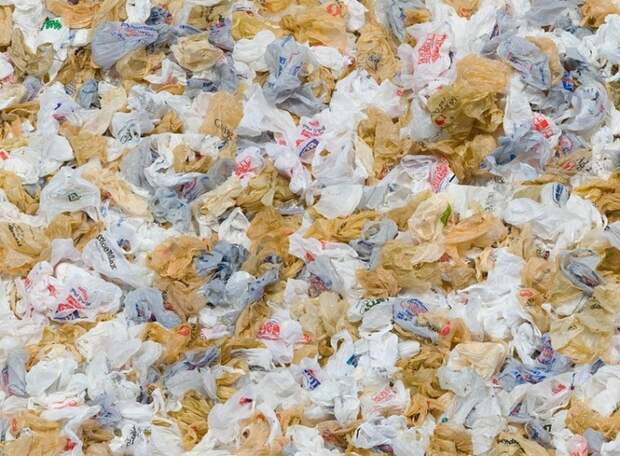 опасные бытовые отходы, утилизация опасных отходов, не следует выбрасывать в мусорное ведро