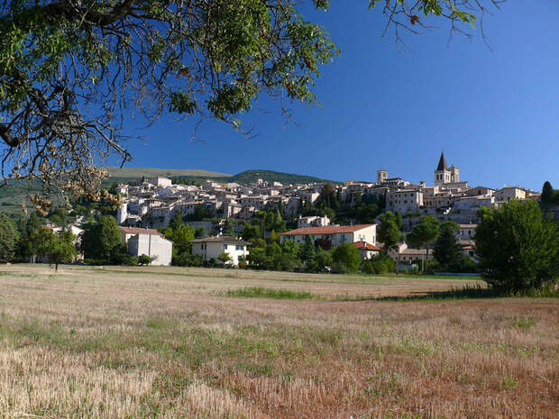 LJILJANA