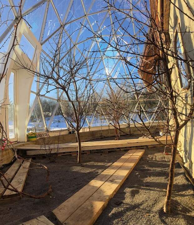 Супруги с 3 детьми перебрались жить в эко-дом со стеклянным куполом, который построили сами