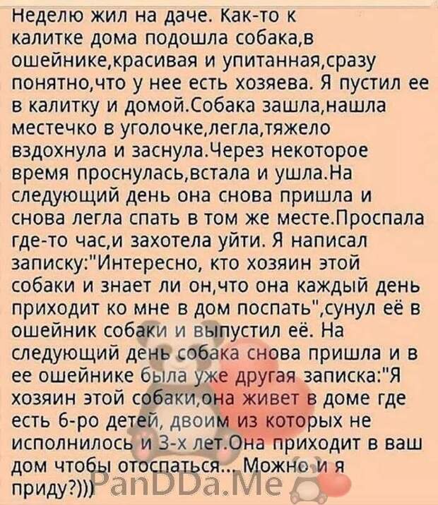 Новейшая порция хороших и добрых коротких рассказов с просторов интернета Новейшая порция хороших и добрых коротких рассказов с просторов интернета