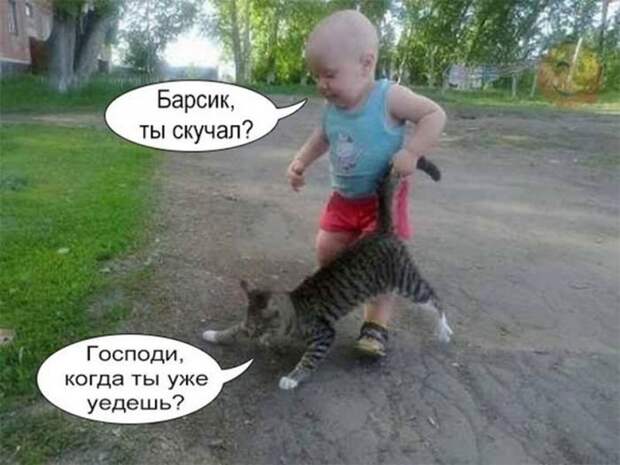 Смешные картинки с надписями для поднятия настроения (11 фото)