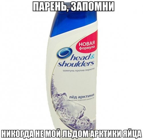 Прикольные картинки выходного дня (50 шт)
