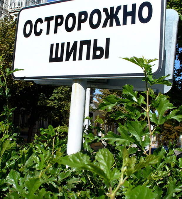остро предупреждение )