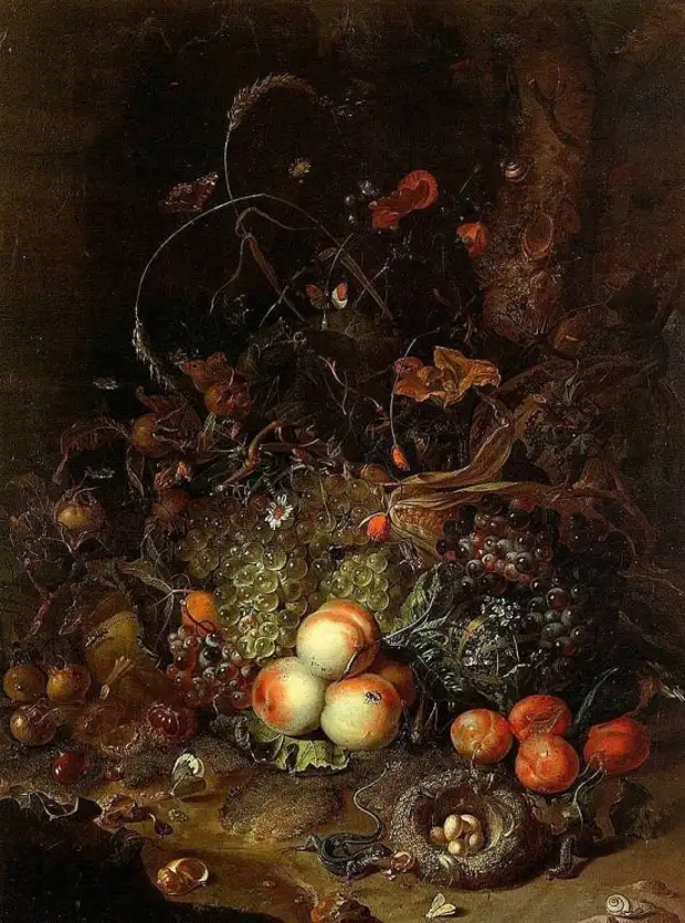  Rachel Ruysch (1664  1750).   