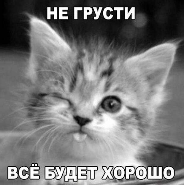 u-9N8XqBsVo