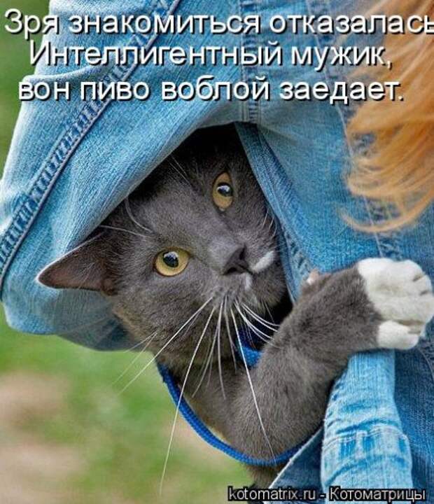 Она приходит... котЭматрикс!
