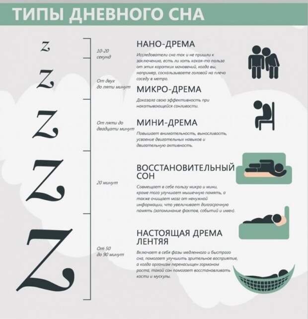 Любопытные факты о дневном сне