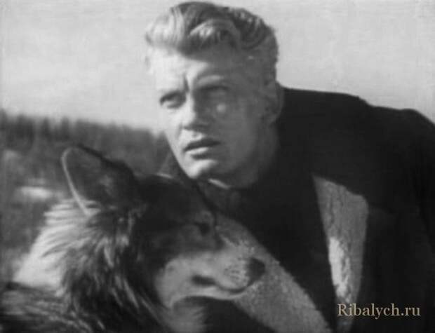 Его любили женщины, а он любил собак  Жан Маре, дружба, собака