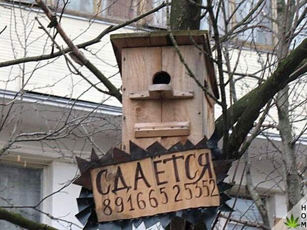 Свежие фотографии и смешные картинки из жизни (11 фото) Свежие фотографии и смешные картинки из жизни (11 фото)