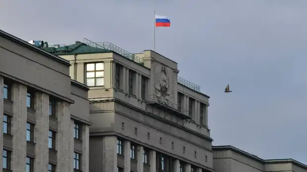 В Госдуме прокомментировали предложение использовать маткапитал на дорогое лечение ребёнка