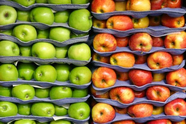 Мы вам покажем, где яблоки зимуют! Пять способов хранения урожая