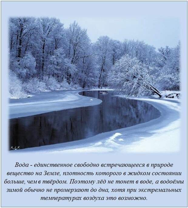 Интересные факты в картинках демотиваторы, история, факты