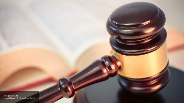 Житель Владивостока получил семь суток ареста за организацию незаконного митинга