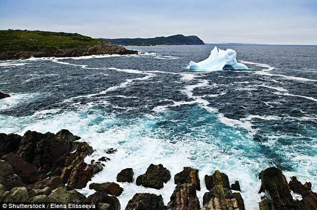 Айсберги откалываются от острова Гренландия и спускаются по течению вдоль побережья Ньюфаундленда - самой восточной точки Канады. айсберг, канада, красиво, океан, путешествия, туризм, туристы, фото