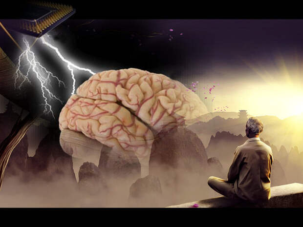 Ум и интеллект: Почему отличники часто проигрывают, а троечники управляют миром