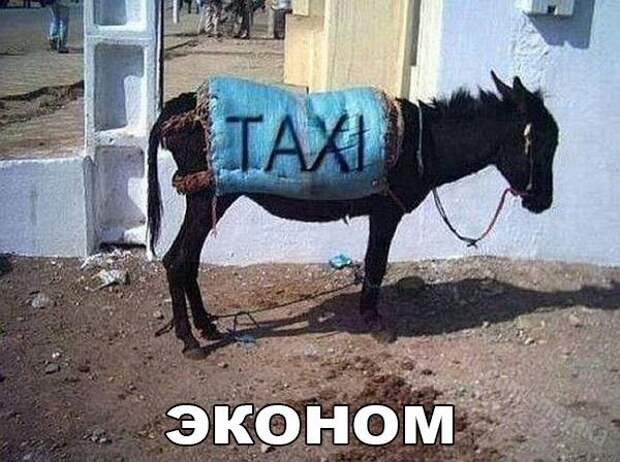 Позитивный пост+222 Позитивный пост+222