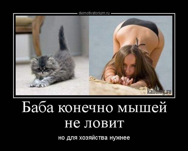 Демотиваторы - 249 (55 демотиваторов)