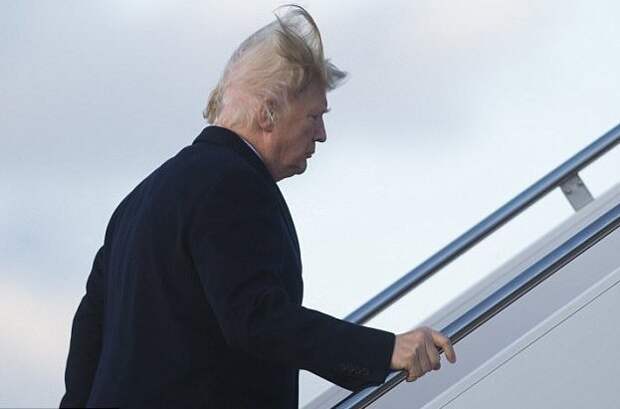 Носит ли Дональд Трамп парик? Дональд Трамп, волосы, ложь президента, лысина, неожиданно, парик, президент сша, прическа